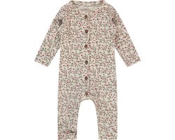 de beste jumpsuit baby