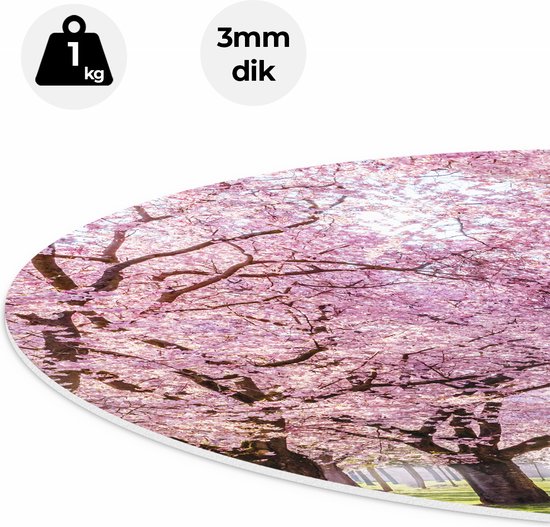 Artaza Forex Cercle mural Parc d'arbres en fleurs roses - Fleurs - 90x90 cm - Groot - Cercle mural - Peinture ronde - Cercle de Décoration murale