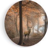 Artaza Forex Muurcirkel Hert In Het Bos - Herfst - 80x80 cm - Groot - Wandcirkel - Rond Schilderij - Wanddecoratie Cirkel