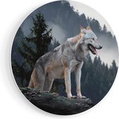 Artaza Forex Muurcirkel Grijze Wolf In De Bossen - 70x70 cm - Wandcirkel - Rond Schilderij - Wanddecoratie Cirkel - Muurdecoratie