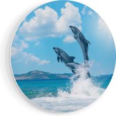 Artaza Forex Muurcirkel Dolfijnen Springen uit het Water - 90x90 cm - Groot - Wandcirkel - Rond Schilderij - Muurdecoratie Cirkel