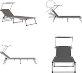 vidaXL Ligbed inklapbaar met dak aluminium en textileen grijs - Zonnebed - Zonnebedden - Ligstoel - Ligstoelen