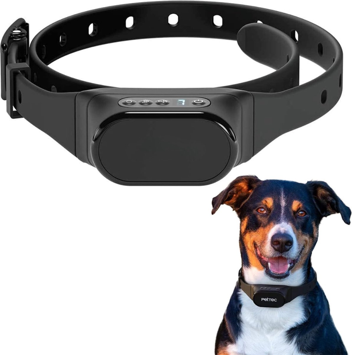 Vind anti blafband in Honden-accessoires op