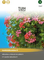 Tuin de Bruijn® zaden - Hanggeranium F1 - uniek, rijkbloeiend mengsel in roze en rode tinten - 8 zaden + 4 zaden GRATIS