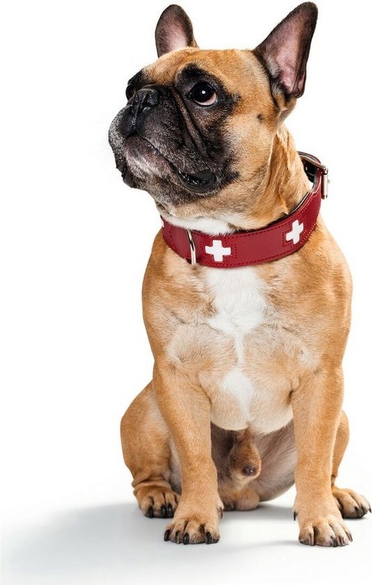 Dog collar Hunter Swiss Red/Black (35-39.5 cm) van Hunter — afbeelding 3