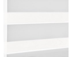 Day + Night Paneelgordijn, schuifgordijn, gordijn met dubbele rolgordijnlook, innovatieve technologie, grijs, 60 x 245 cm, 1 stuk