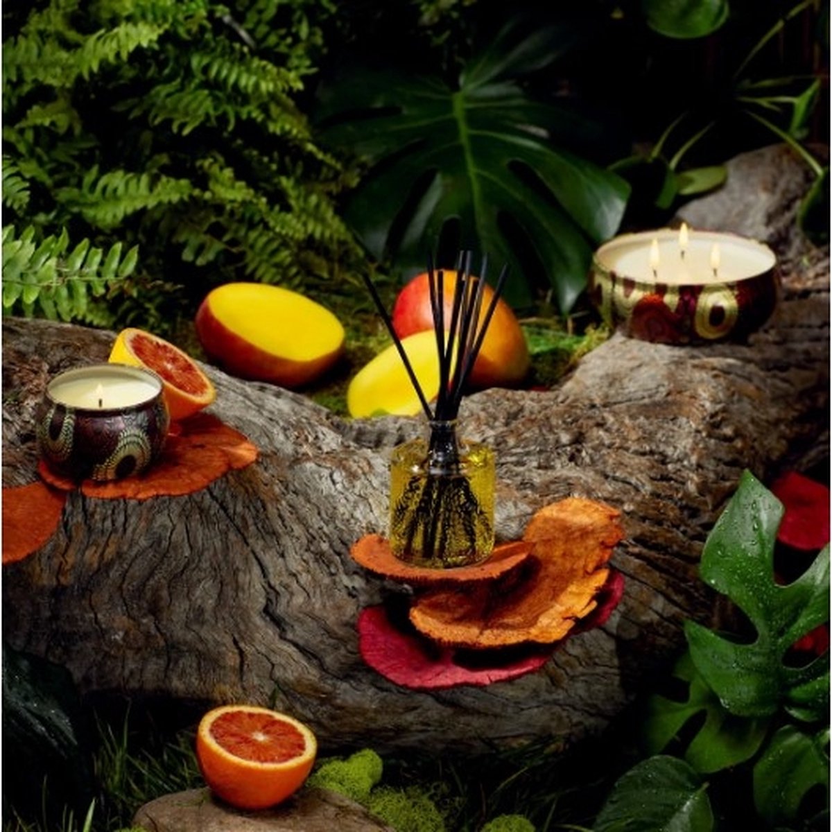 Voluspa Geurkaars Japonica Collection Goji Tarocco Orange Mini Tin Candle 127gr