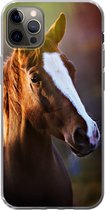 Coque iPhone 13 Pro Max - Cheval - Légère - Fourrure - Coque de téléphone en Siliconen