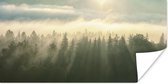 Affiche Forêt - Brouillard - Soleil - 160x80 cm