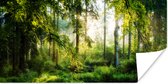 Affiche Forêt - Soleil - Arbres - 160x80 cm