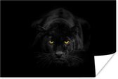 Poster Portrait d'un léopard sur fond noir papier 60x40 cm - Tirage photo sur Poster (décoration murale salon / chambre) / Poster en gros plan