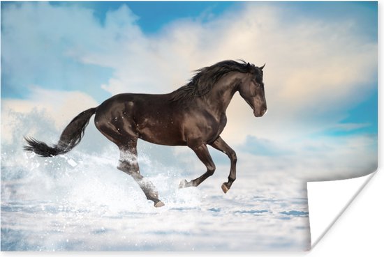Poster Zwart paard in de sneeuw - 120x80 cm
