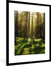 Fotolijst incl. Poster - Bomen - Bos - Mos - Planten - Zon - Natuur - 60x80 cm - Posterlijst