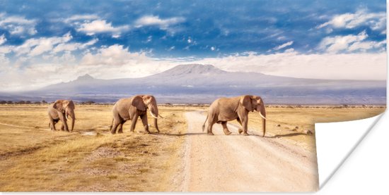 Drie overstekende olifanten Poster - Foto print op Poster (wanddecoratie)
