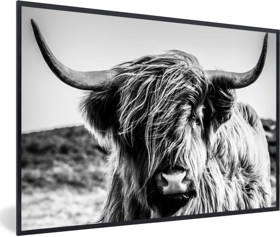 Affiche avec cadre Vache - Highlander écossais - Zwart - Wit - 30x20 cm