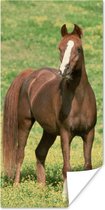 Affiche Paarden - Herbe - Marron - 75x150 cm