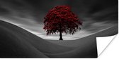 Poster Zwart-wit foto met een rode boom - 120x60 cm