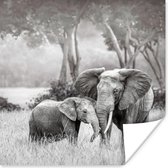 Poster Olifant - Dieren - Natuur - Zwart wit - 50x50 cm