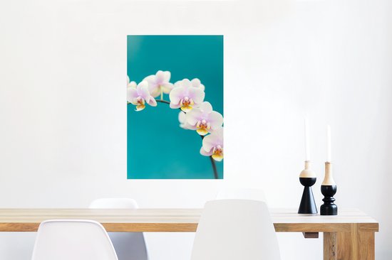Affiche Orchidée - Fleurs - Plante - Wit - Violet - 60x90 cm