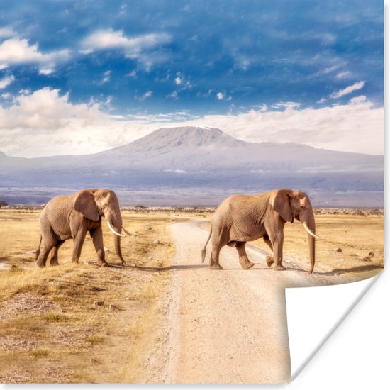 Poster Traversée de trois éléphants - 50x50 cm