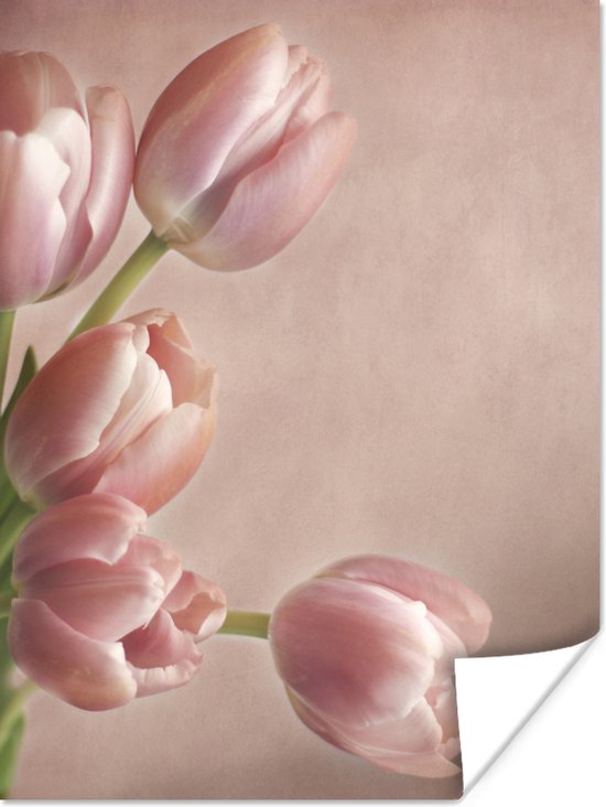 Poster Roze tulpen op een roze achtergrond - 60x80 cm
