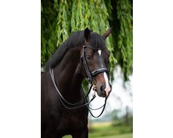 Hb Stang En Trens Hb Showtime Special For You Zwart-zwart | Maat: Paard