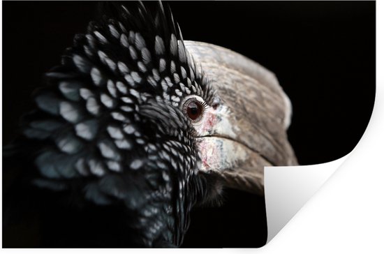 Stickers Stickers muraux - Vogel - Bec - Ressorts - 120x80 cm - Feuille adhésive