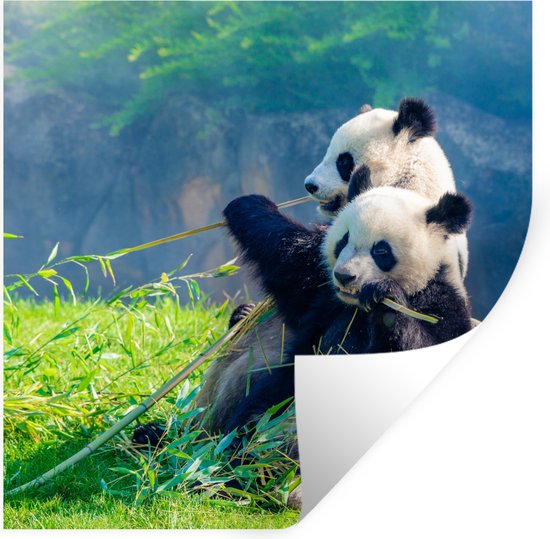 Panda Impregneerbeits met bamboe extract - Panda Paints