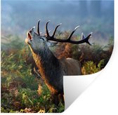 Stickers muraux - Cerf - Forêt - Brouillard - 100x100 cm - Film adhésif XXL