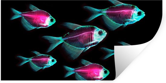 Stickers muraux - Film autocollant - Poisson - Violet - Blauw - 80x40 cm - Film adhésif - Stickers muraux Chambre d'enfant - Papier peint autocollant
