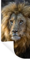 Muurstickers - Sticker Folie - Leeuw - Portret - Wild - 60x120 cm - Plakfolie - Muurstickers Kinderkamer - Zelfklevend Behang - Zelfklevend behangpapier - Stickerfolie
