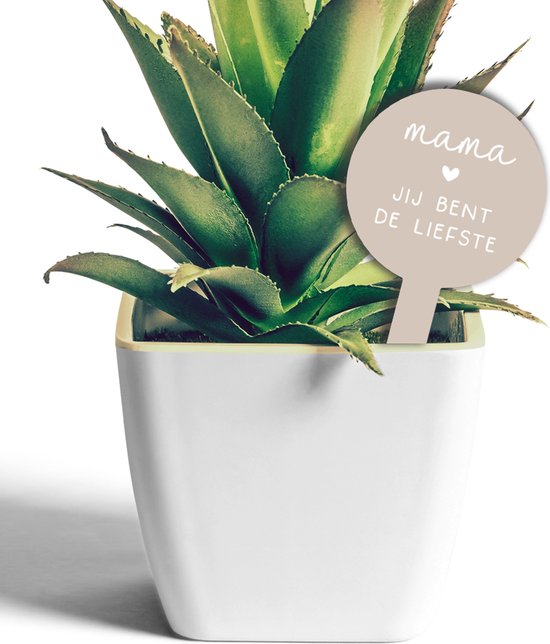 Label2X - Cueillette de plantes Maman You Are The Sweetest