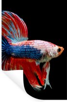 Stickers muraux - Film autocollant - Poisson - Animal marin - Staart - Blauw - 40x60 cm - Film adhésif - Stickers muraux chambre enfant - Papier peint autocollant - Papier peint autocollant - Film autocollant