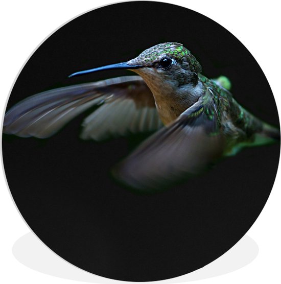 Wall Circle - Wall Circle Indoor - Colibri - Vogel - Ressorts - Zwart - ⌀ 120 cm - Décoration murale - Peintures Ronds XXL