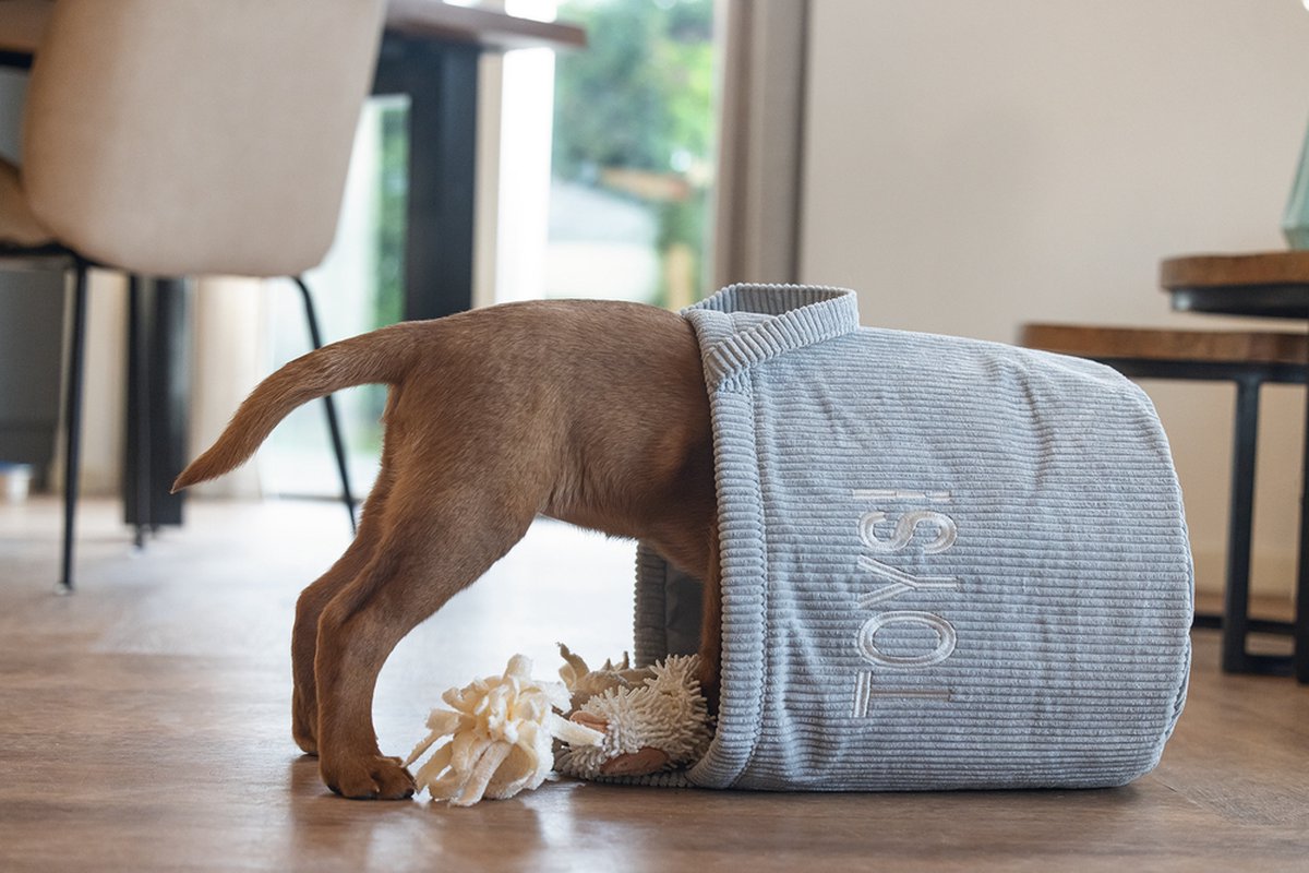 Beeztees Puppy Speelgoedmand Suus - Puppy Speelgoed - Hondenspeelgoed - Hond - Grijs - 30x30x30 cm thumbnail 5