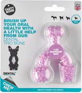 TastyBone - Toy - Dental Trio Bone - Raspberry & Mint - Hond - Kauwspeelgoed - Vegan - Kluif - Nylabone