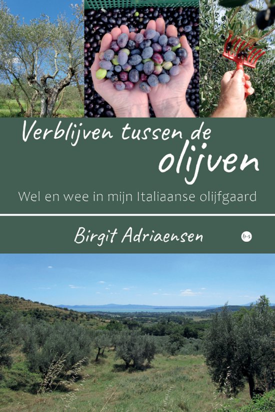 Verblijven tussen de olijven