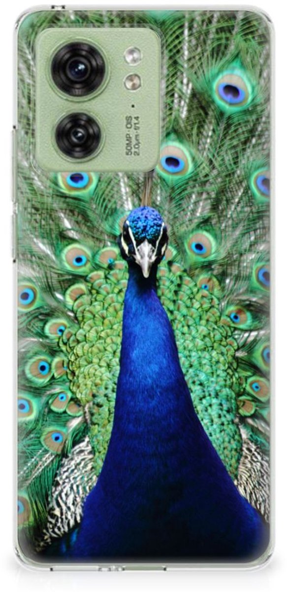 Motorola Edge 40 TPU Hoesje Pauw