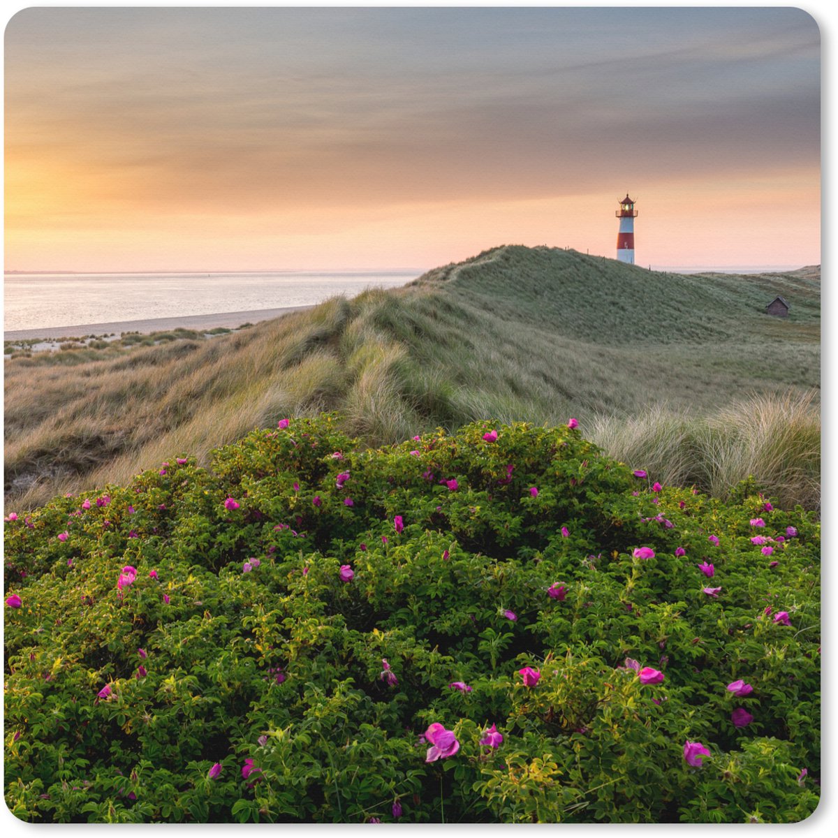 Muismat XXL 80x80 cm - Bureau onderlegger - Bureau mat Vuurtoren - Berg - Bloemen - Water - Bureaumat - Gaming mousepad xl - Bureaulegger groot - Computer deskmat