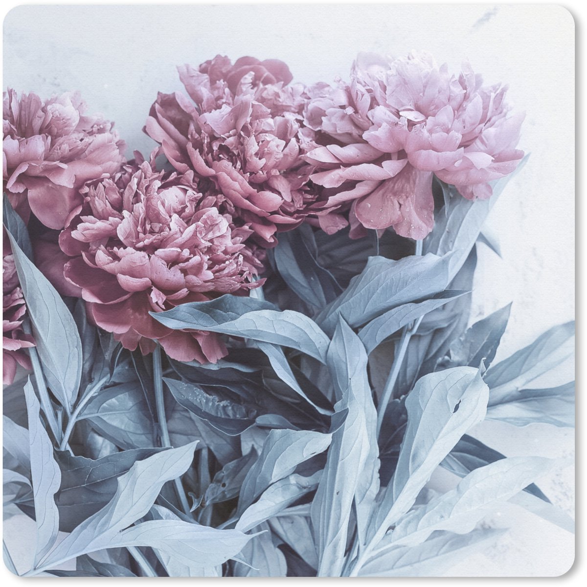 Muismat 20x20 cm - Mousepad Roze pioenrozen op marmer - Muismatten
