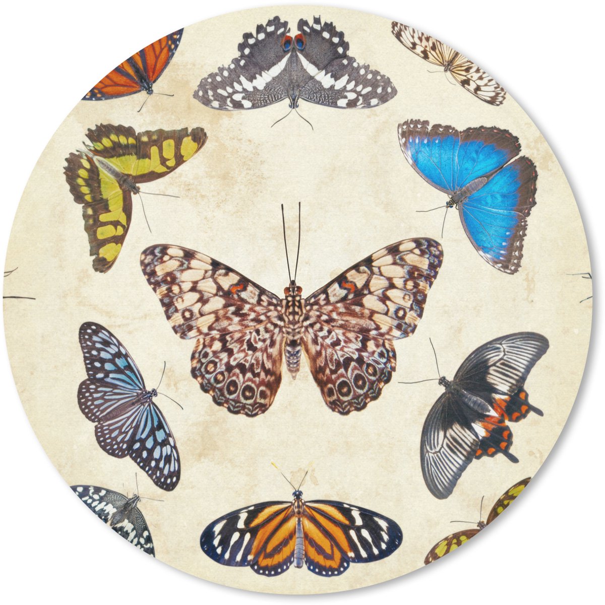 Muismat rond 40x40 cm - Mousepad Botanische print vlinders - Ronde muismatten