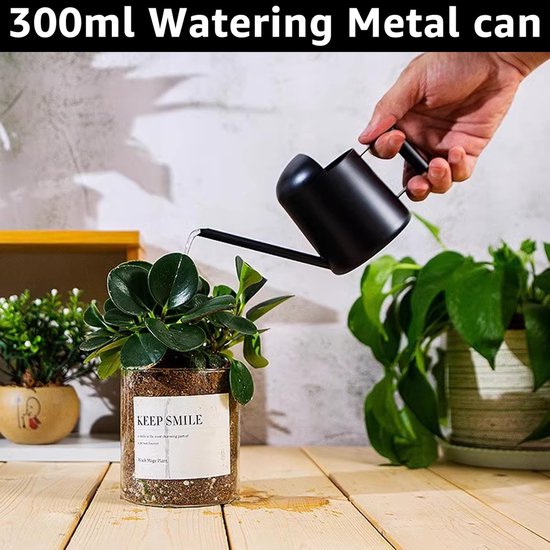 Arrosoir SNQ pour plantes d'intérieur - 300 ml - Mini arrosoir en acier inoxydable - Bec long - Petit arrosoir pour Plantes en pot - Irrigation - Plantes vertes (Zwart)