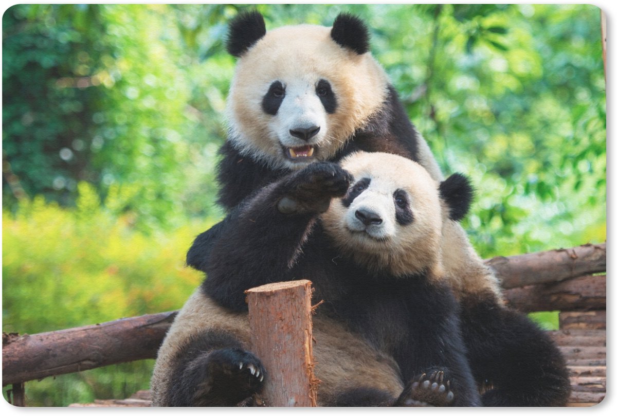 Muismat 27x18 cm - Mousepad Panda - Brug - Natuur - Muismatten