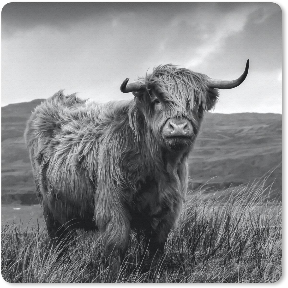 Muismat 30x30 cm - Mousepad Schotse Hooglander - Berg - Water - Natuur - Koe - Muismatten
