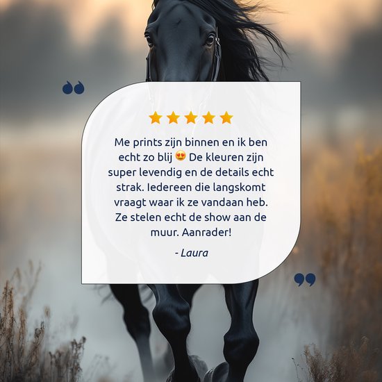 FineArtia - Zwart paard bij zonsondergang - Canvas Schilderij - 60 x 90 cm - Woonkamer Decoratie - Bruin;Zwart - Slaapkamer Schilderij - Wanddecoratie