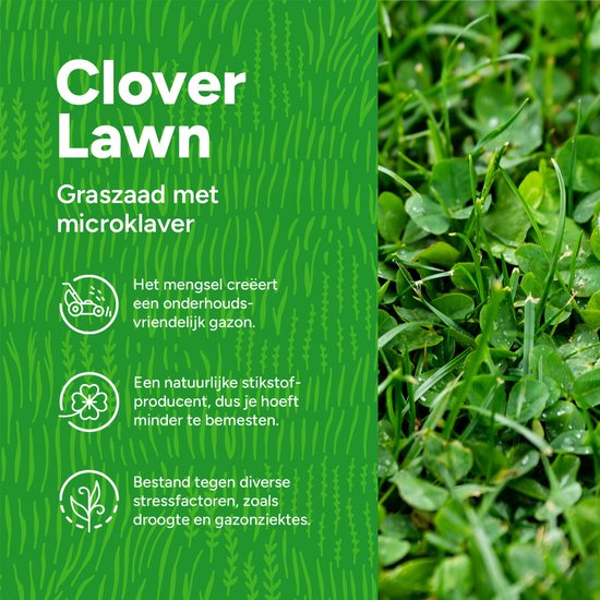 Gedetailleerde close-up van groen gras met klaverblaadjes, graszaad met microklaver.