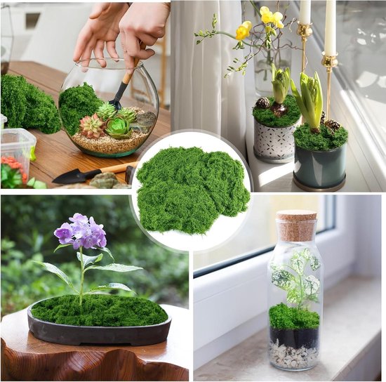 Gedroogd musgo korstmos zwart 250 g terrariumdecoratie Gedroogd musgo korstmos zwart 250 g terrariumdecoratie