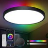 ANTENLICHT RGB LED Plafondlamp - Zwart - Plafoniere - Plafondlampen - Binnenverlichting - Dimbaar 8 staps - 3000K-6500K - 24W - Met Afstandsbediening