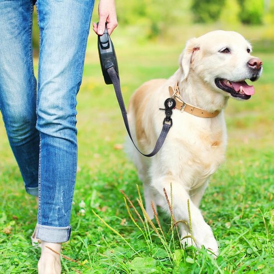 Een persoon met een spijkerbroek loopt met een gouden retriever aan een riem. De karabijnhaak aan de riem is zwart.