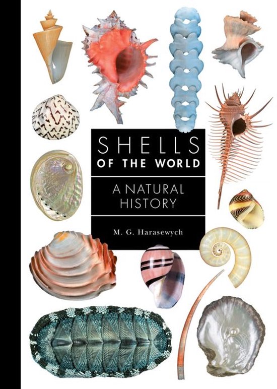 A Guide to Every Family - Shells of the World - cover